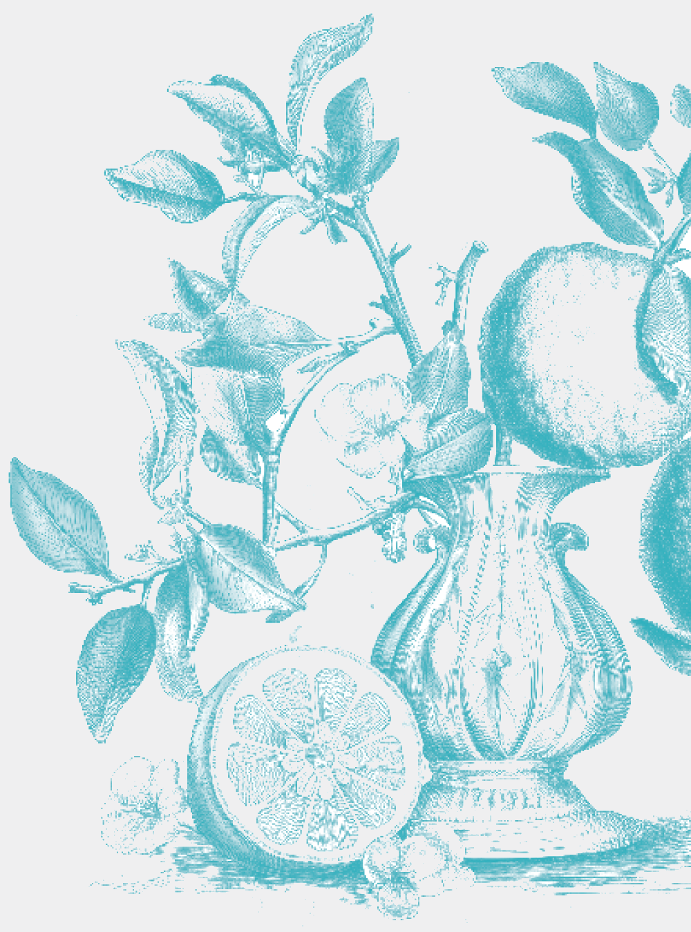 7_illustrazione_destra